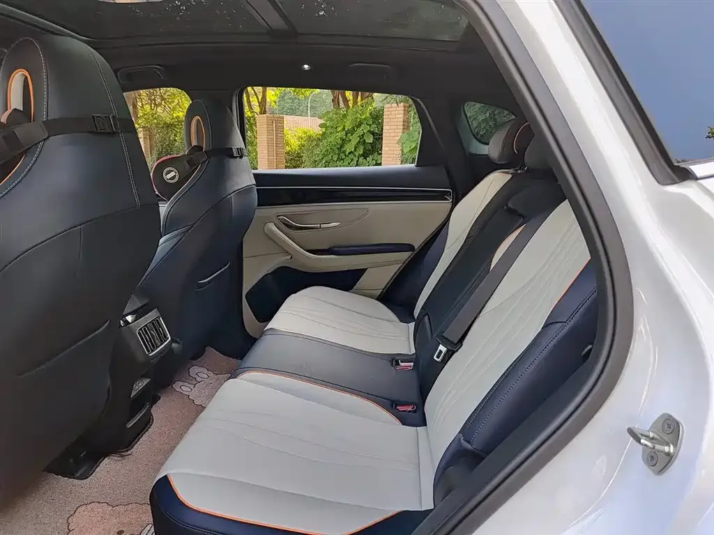 BYD PLUS New Energy 2023 из CN, фото 7