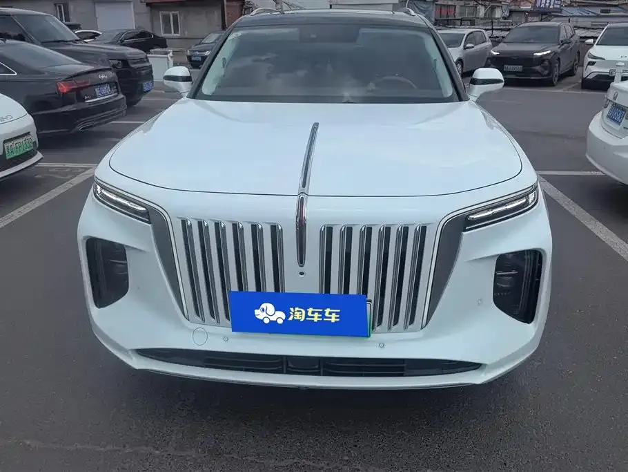 Hongqi E-HS9 2023 из CN, фото 3