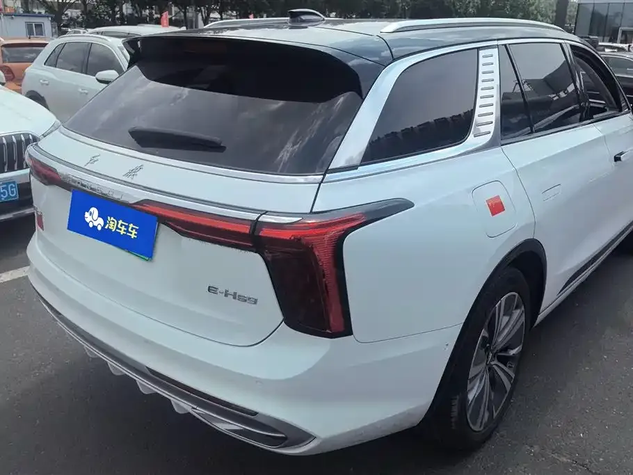 Hongqi E-HS9 2023 из CN, фото 10