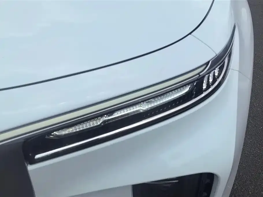 Hongqi E-HS9 2023 из CN, фото 4