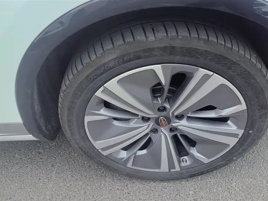 Hongqi E-HS9 2023 из CN, фото 9