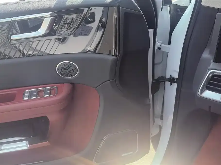 Hongqi E-HS9 2023 из CN, фото 6