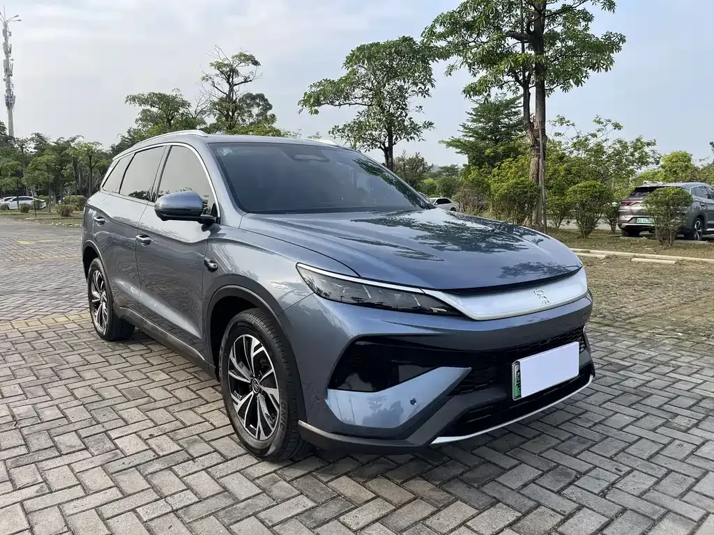 BYD Pro New Energy — фото 6