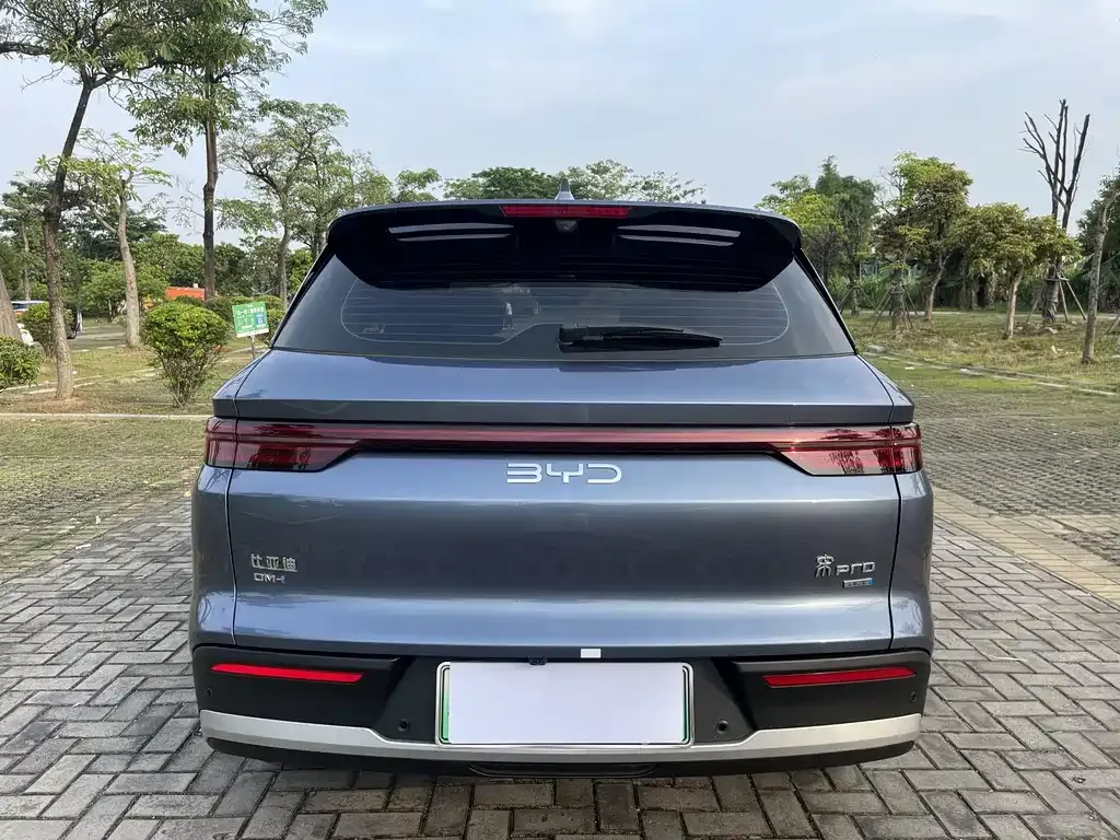 BYD Pro New Energy — фото 10