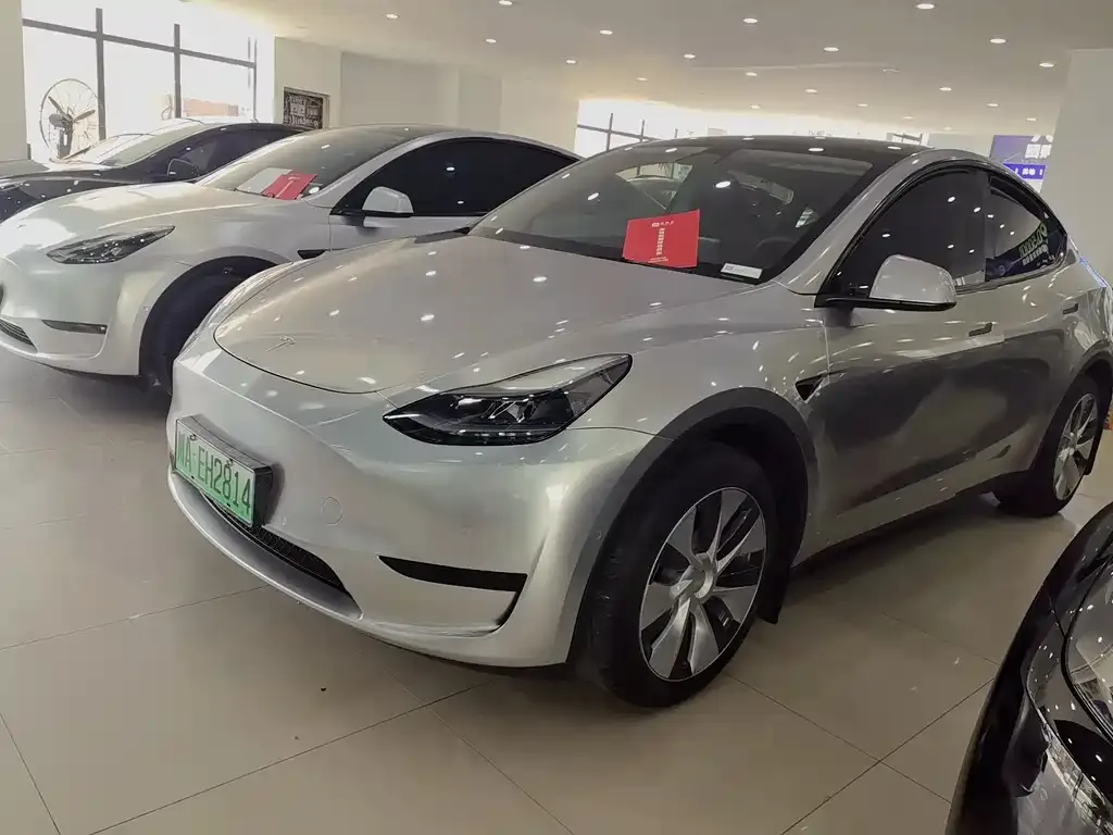 Tesla Model Y — фото 1