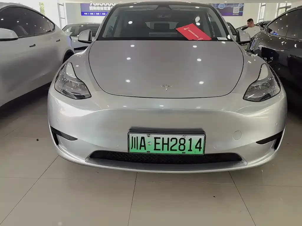 Tesla Model Y — фото 10
