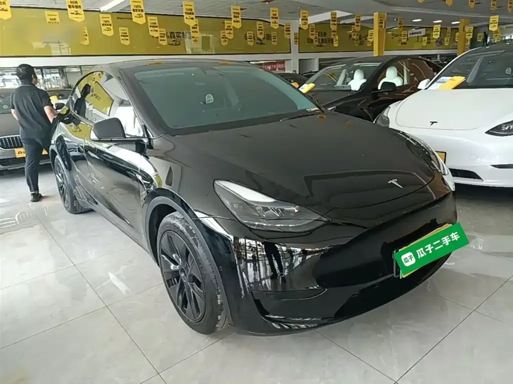 Tesla Model Y — фото 2
