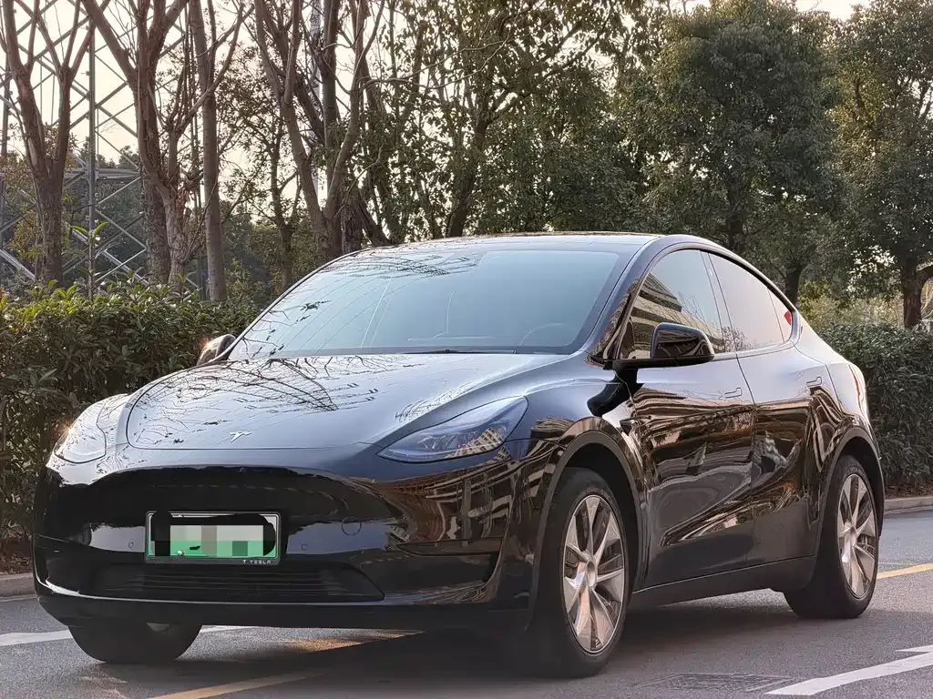 Tesla Model Y — фото 1
