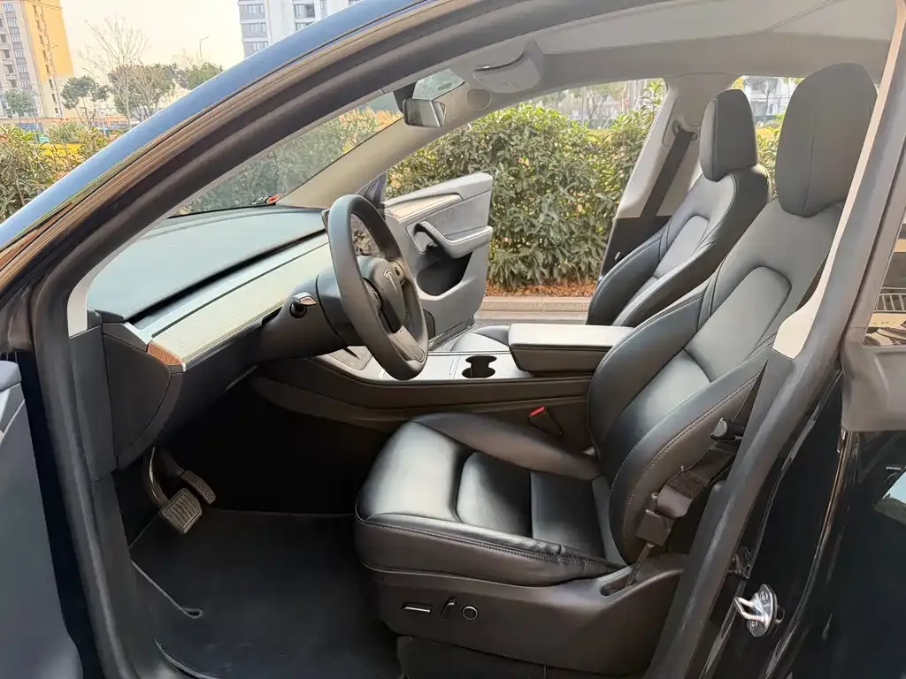 Tesla Model Y — фото 9