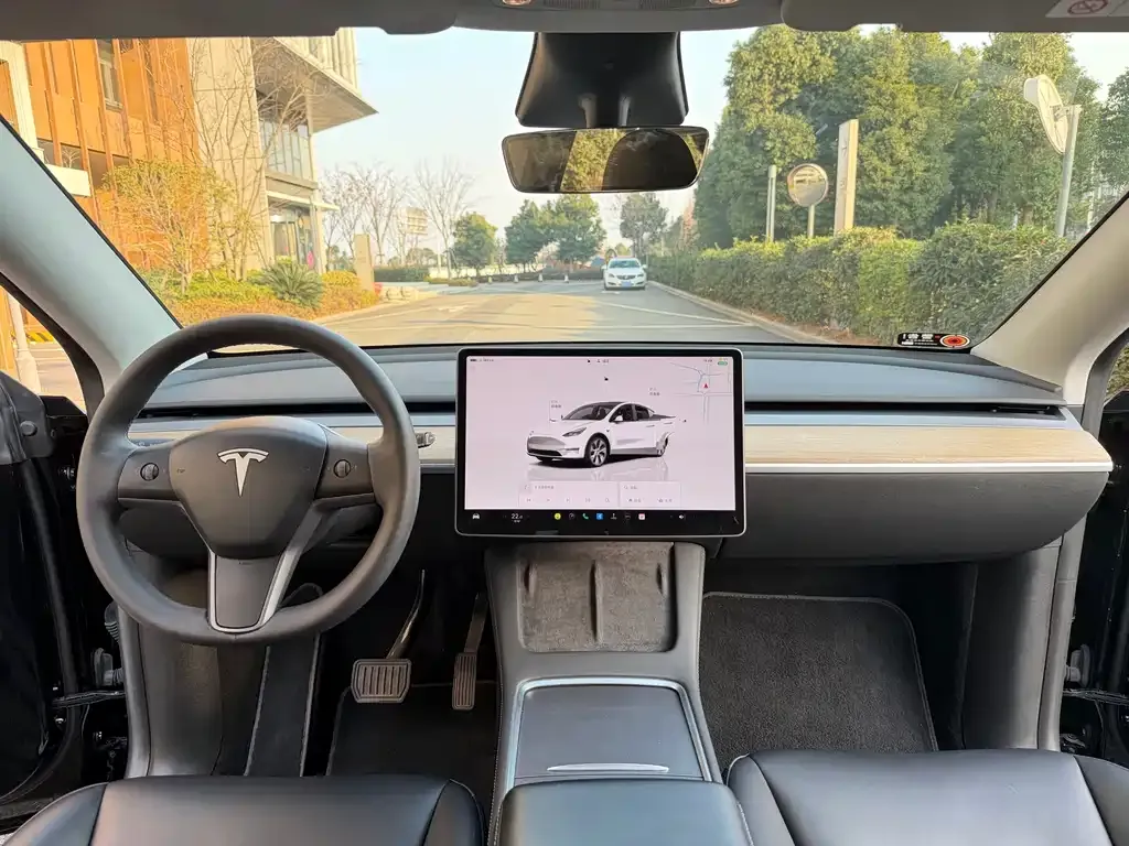 Tesla Model Y — фото 10
