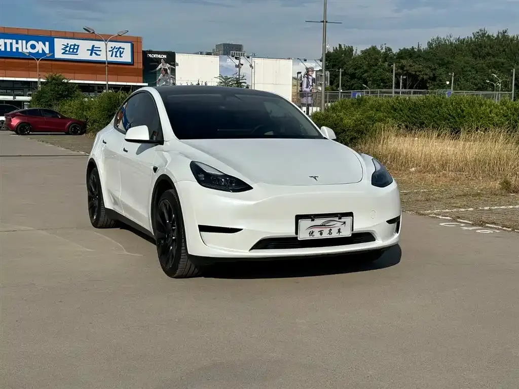Tesla Model Y — фото 3