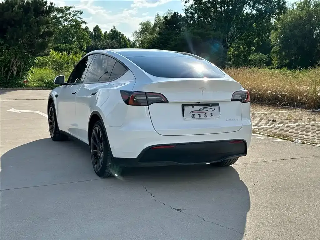 Tesla Model Y — фото 8