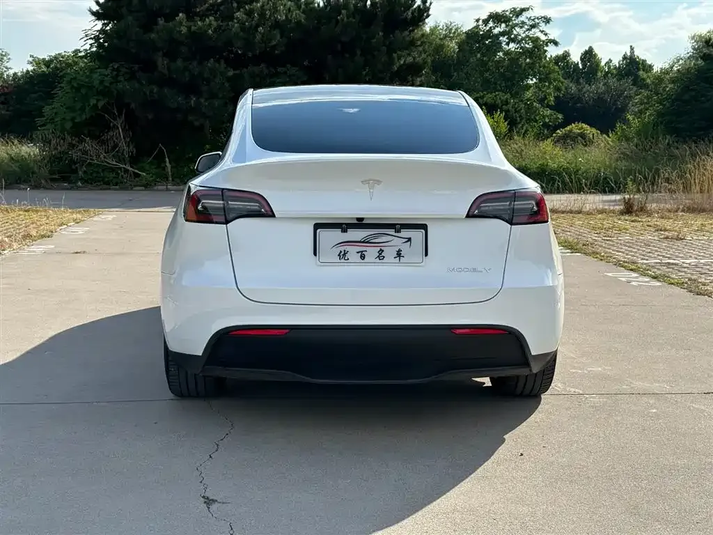 Tesla Model Y — фото 10