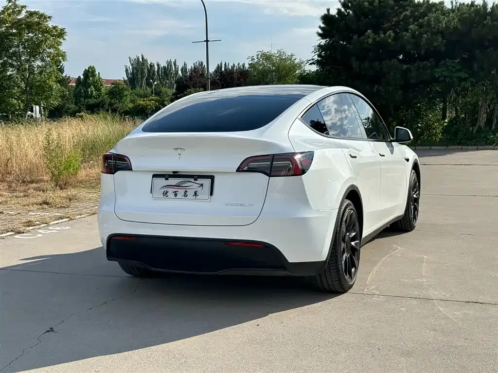 Tesla Model Y — фото 7