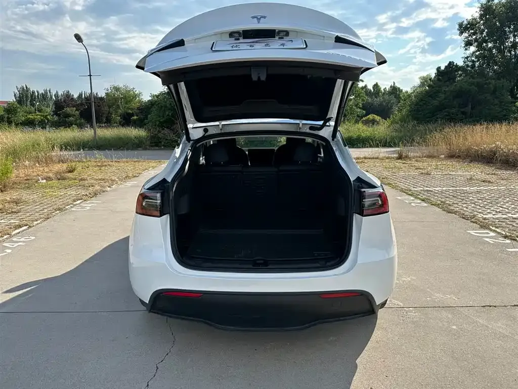 Tesla Model Y — фото 5