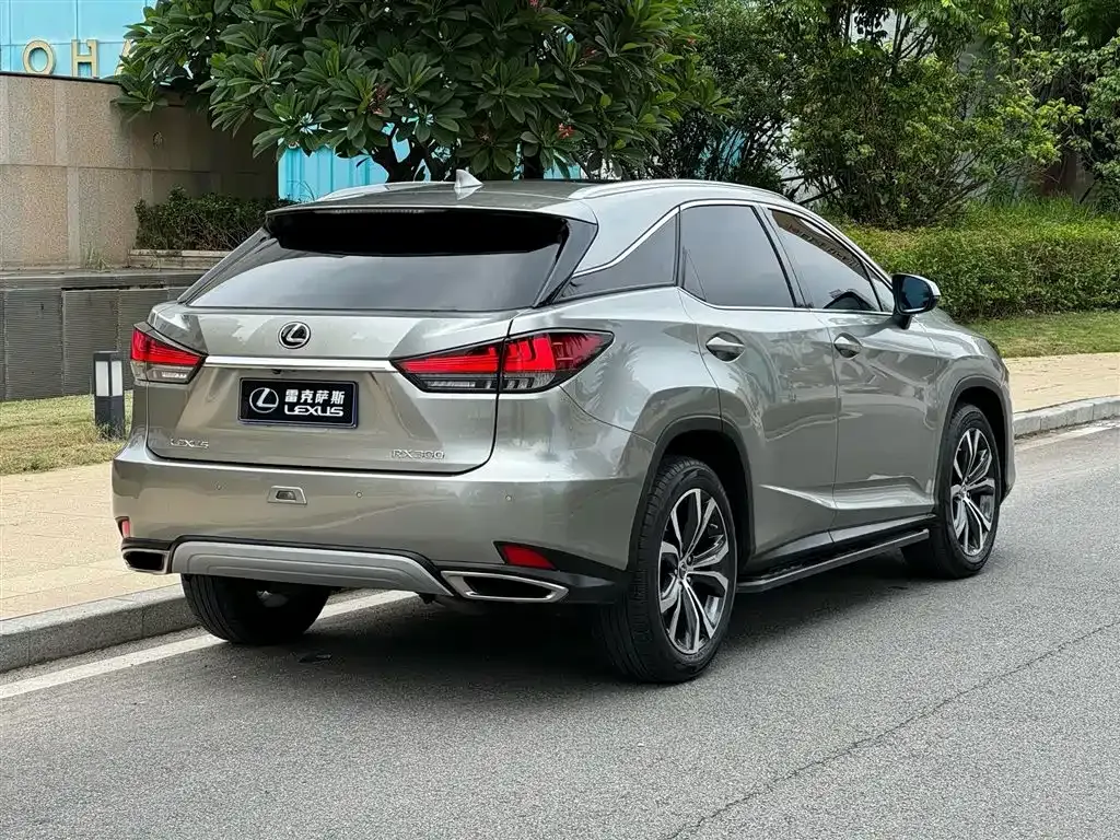 Lexus RX 2021 из CN, фото 8