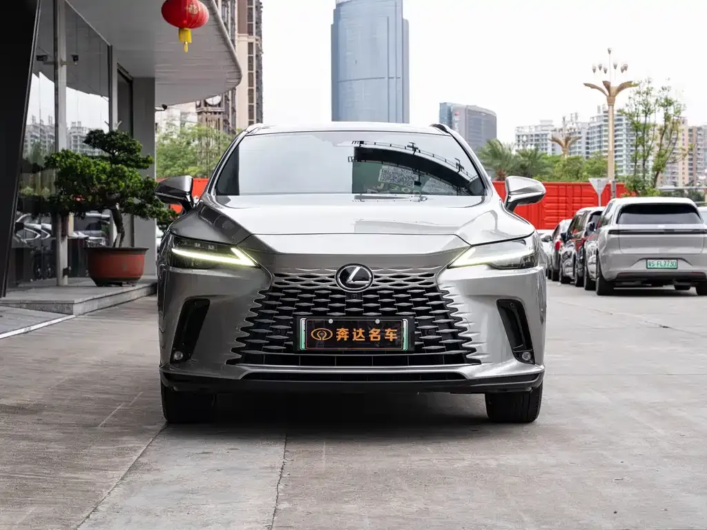 Lexus RX New Energy 2023 из CN, фото 5