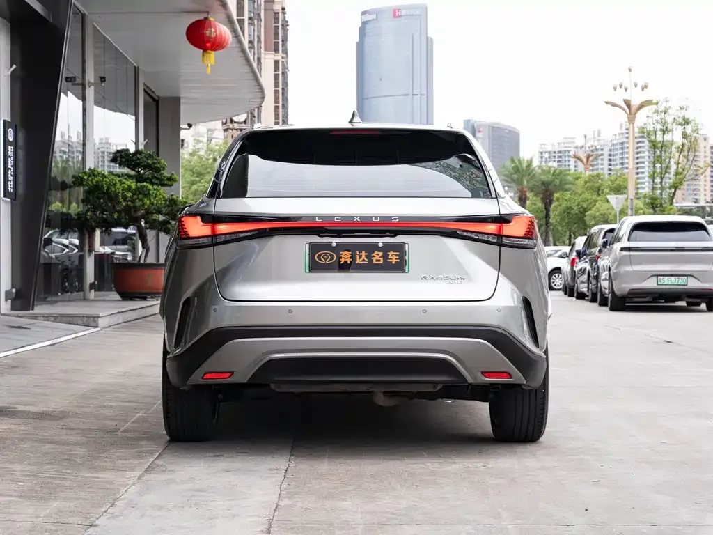 Lexus RX New Energy 2023 из CN, фото 6