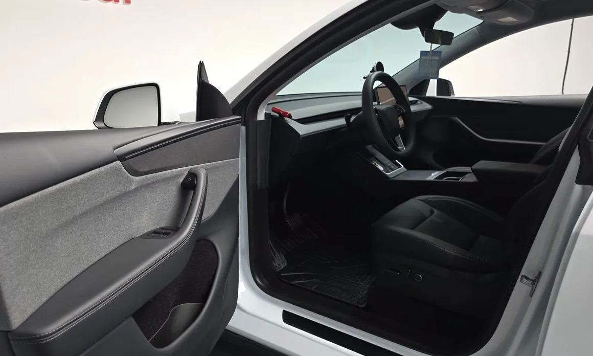 Tesla Model Y 2025 из KR, фото 9