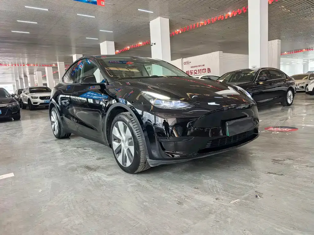 Tesla Model Y — фото 5