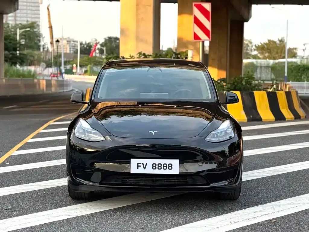 Tesla Model Y — фото 7