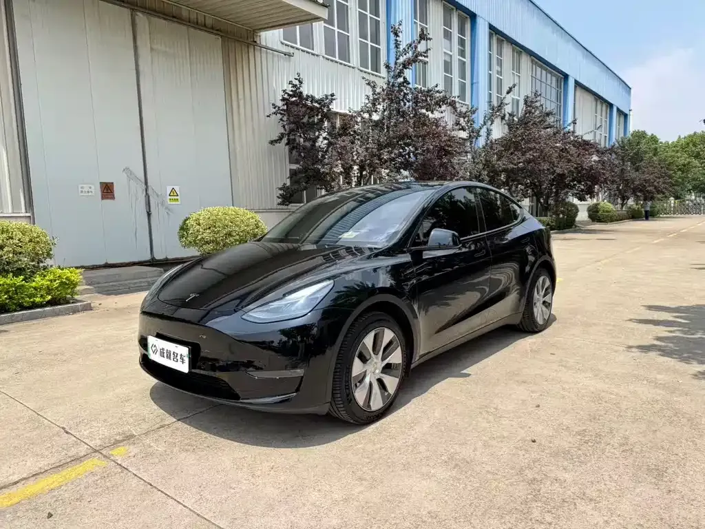 Tesla Model Y — фото 1