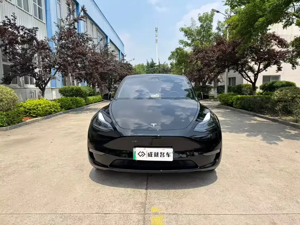 Tesla Model Y — фото 5