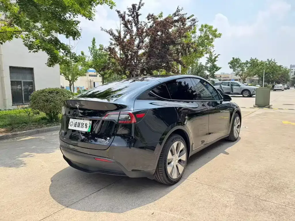 Tesla Model Y — фото 10