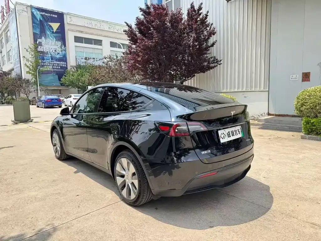 Tesla Model Y — фото 2