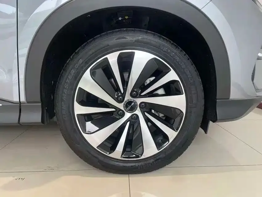 BYD PLUS New Energy — фото 4