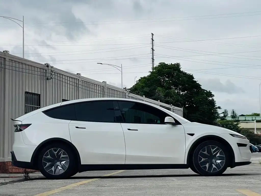 Tesla Model Y L 2025 из CN, фото 7