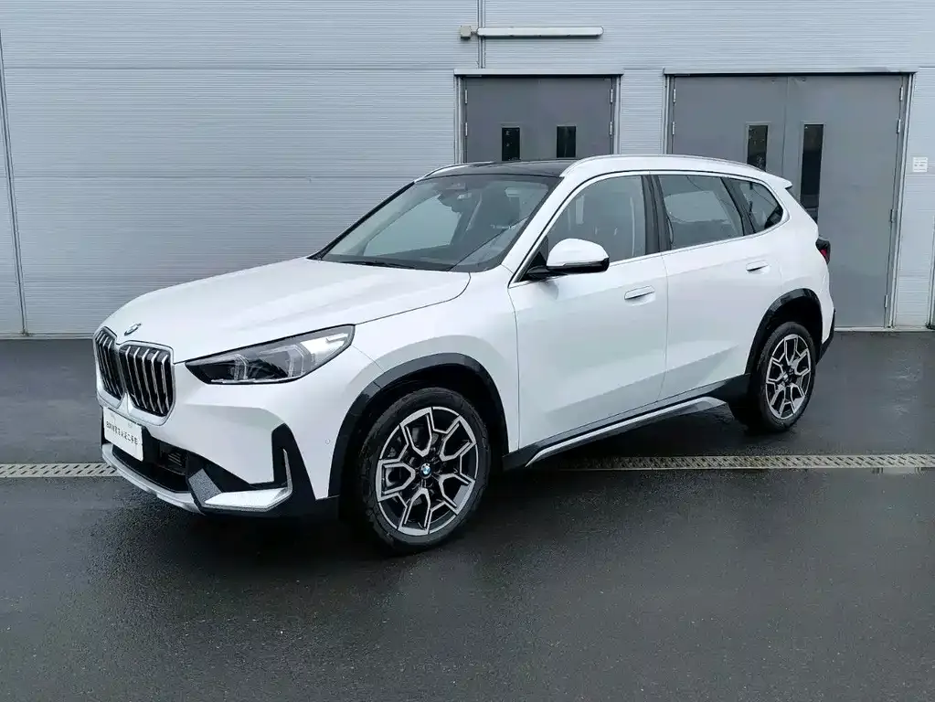 BMW X1 — фото 1