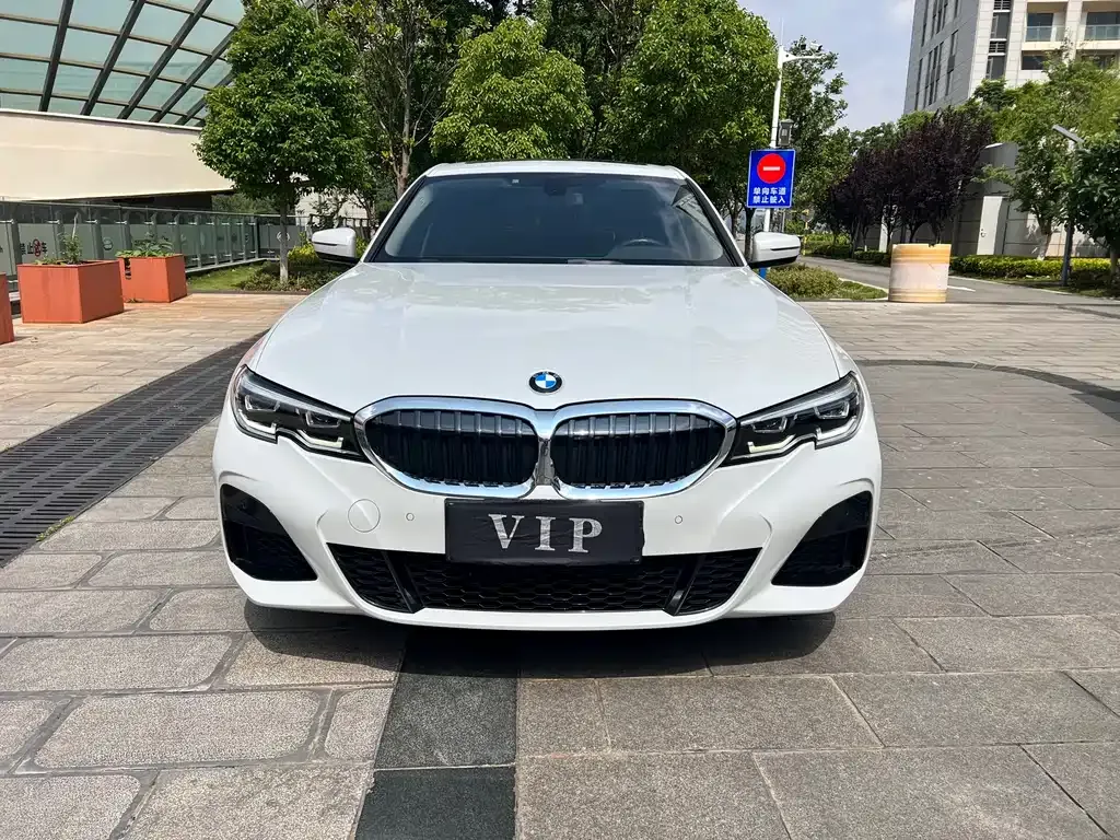 BMW 3 Series 2021 из CN, фото 9