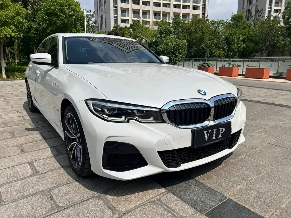 BMW 3 Series 2021 из CN, фото 10