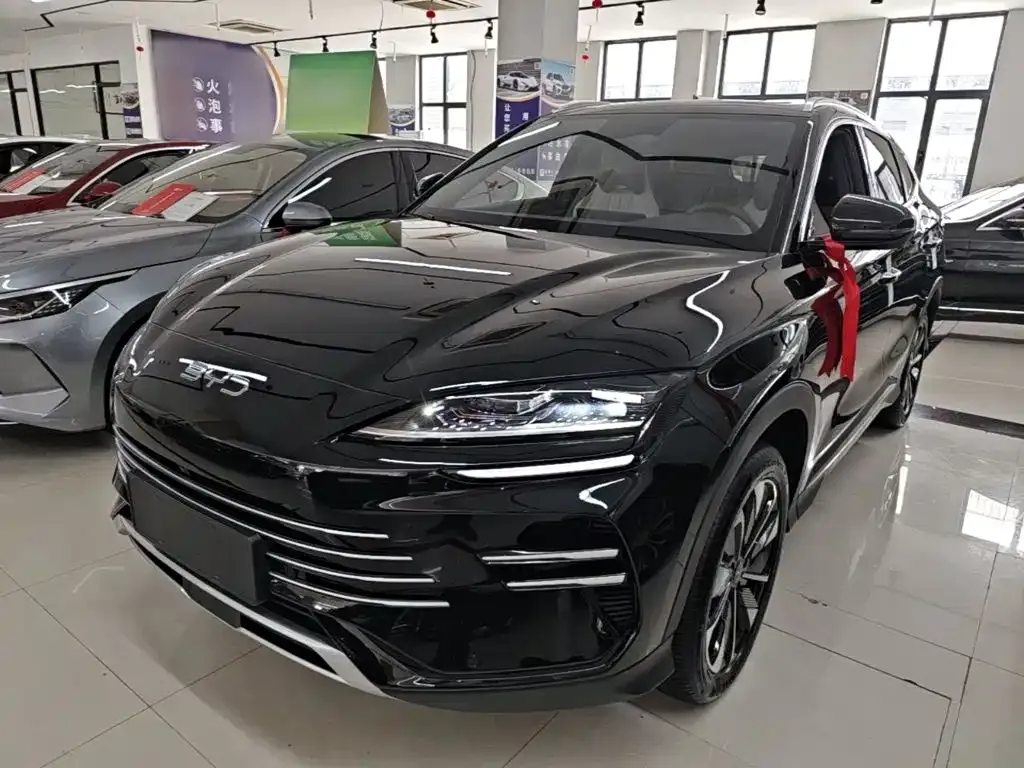 BYD PLUS New Energy — фото 1
