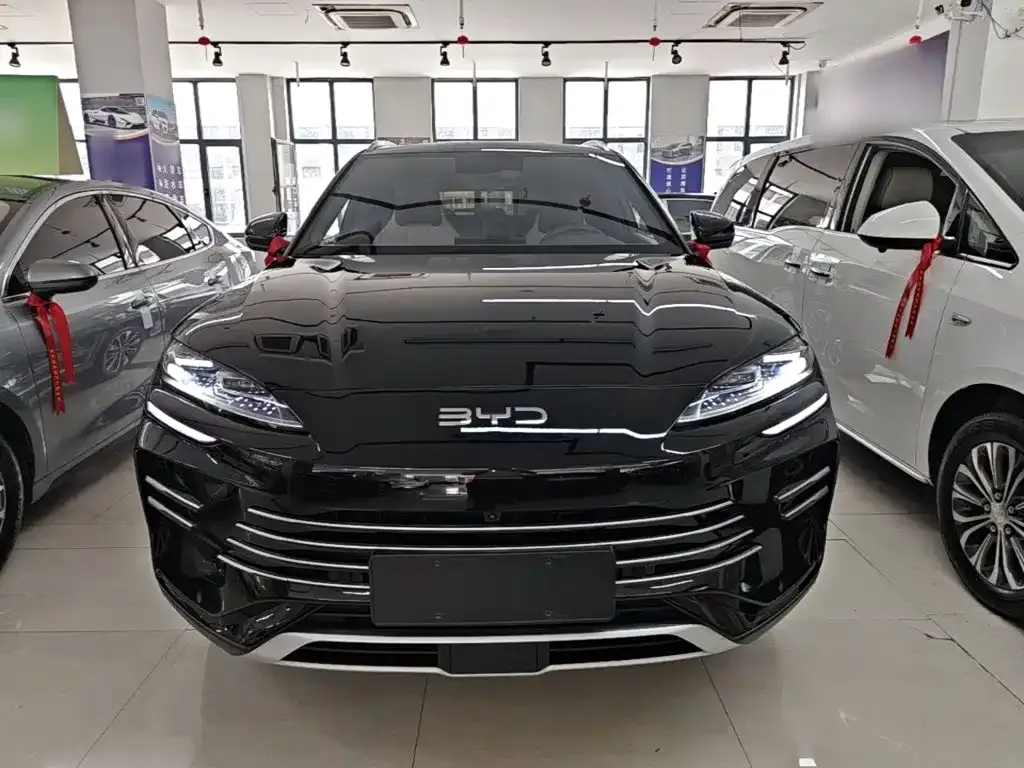BYD PLUS New Energy — фото 6