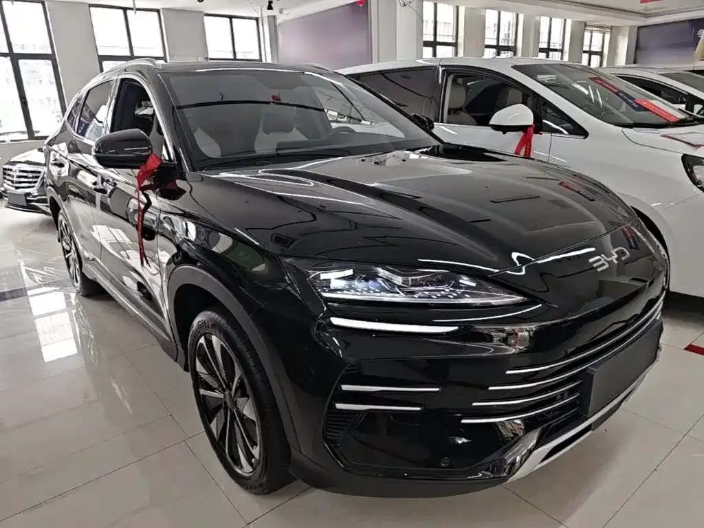 BYD PLUS New Energy — фото 10