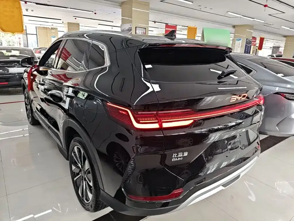 BYD PLUS New Energy — фото 5