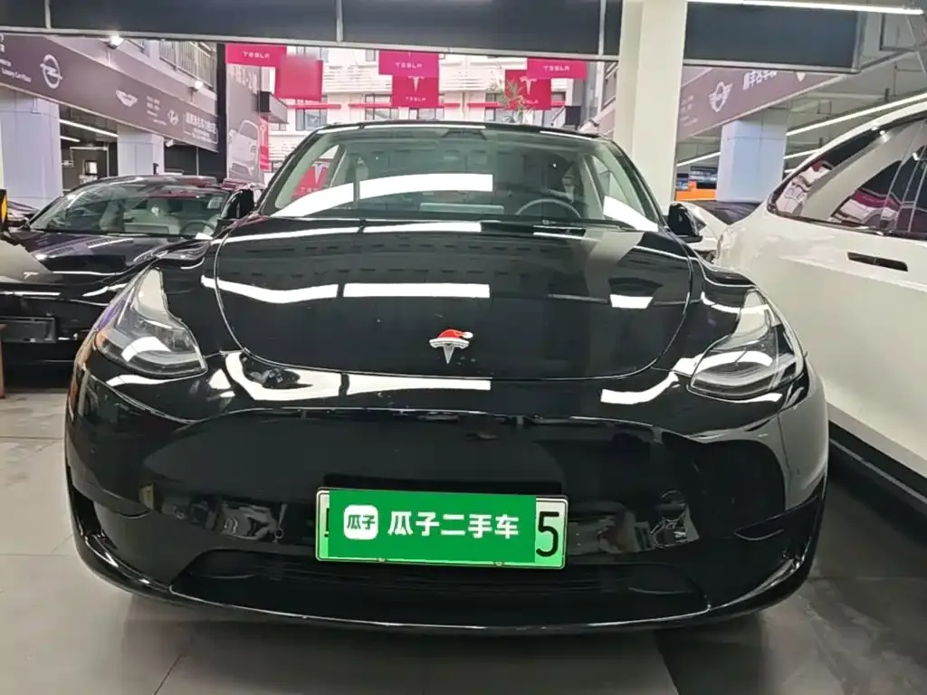 Tesla Model Y — фото 2
