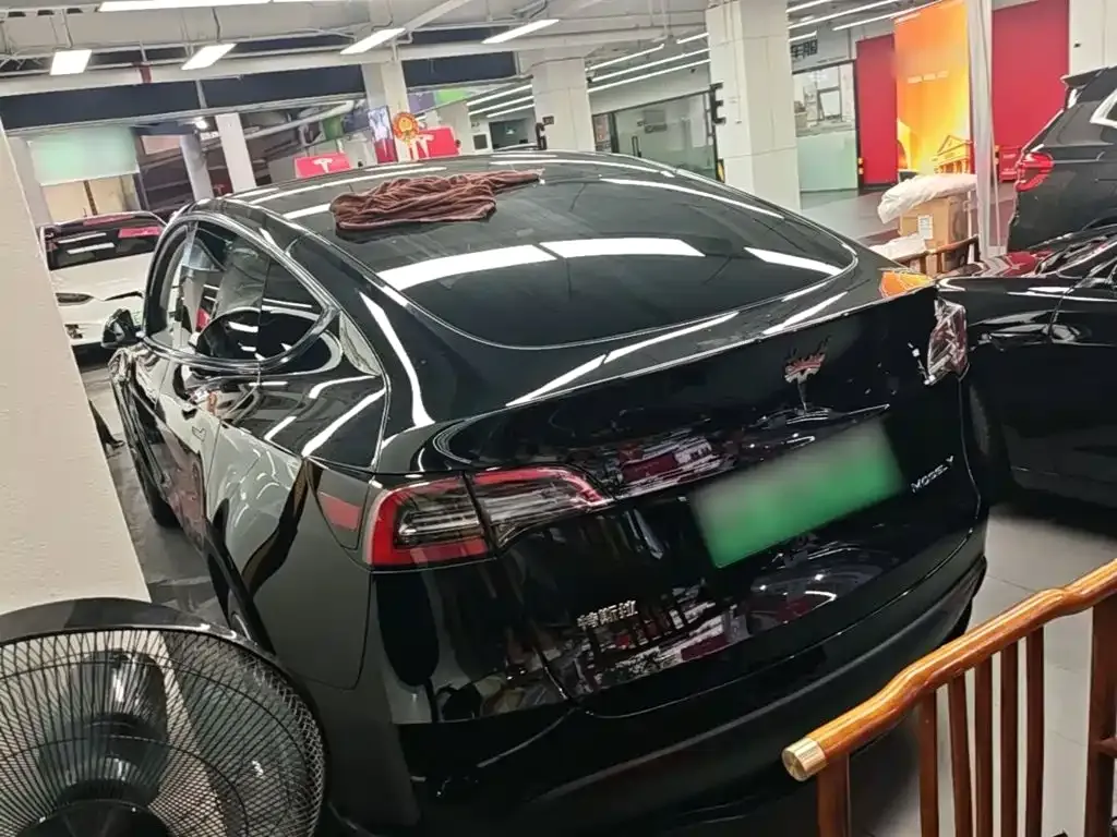 Tesla Model Y — фото 3