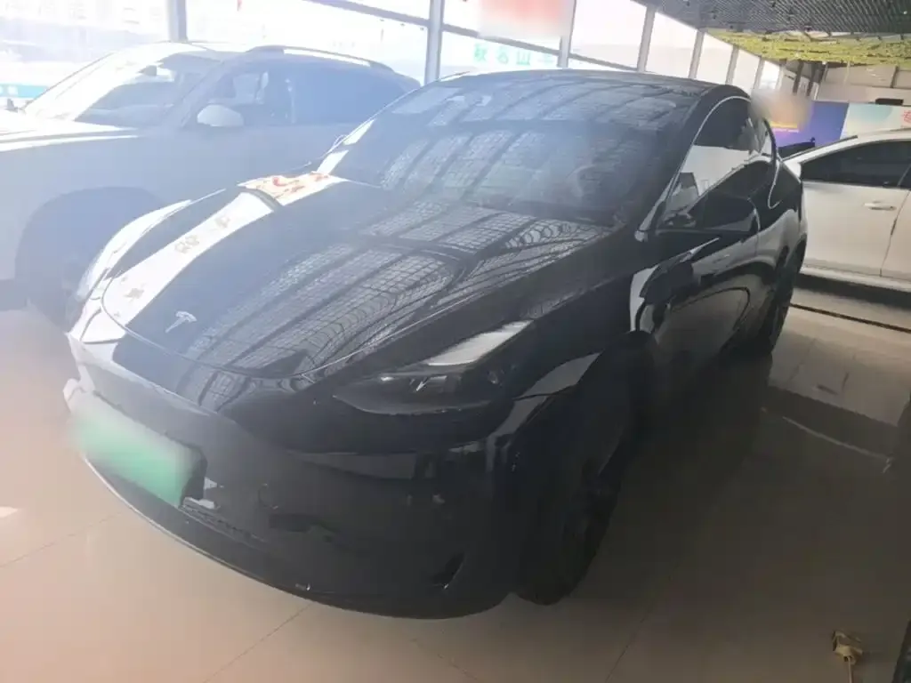 Tesla Model Y — фото 1