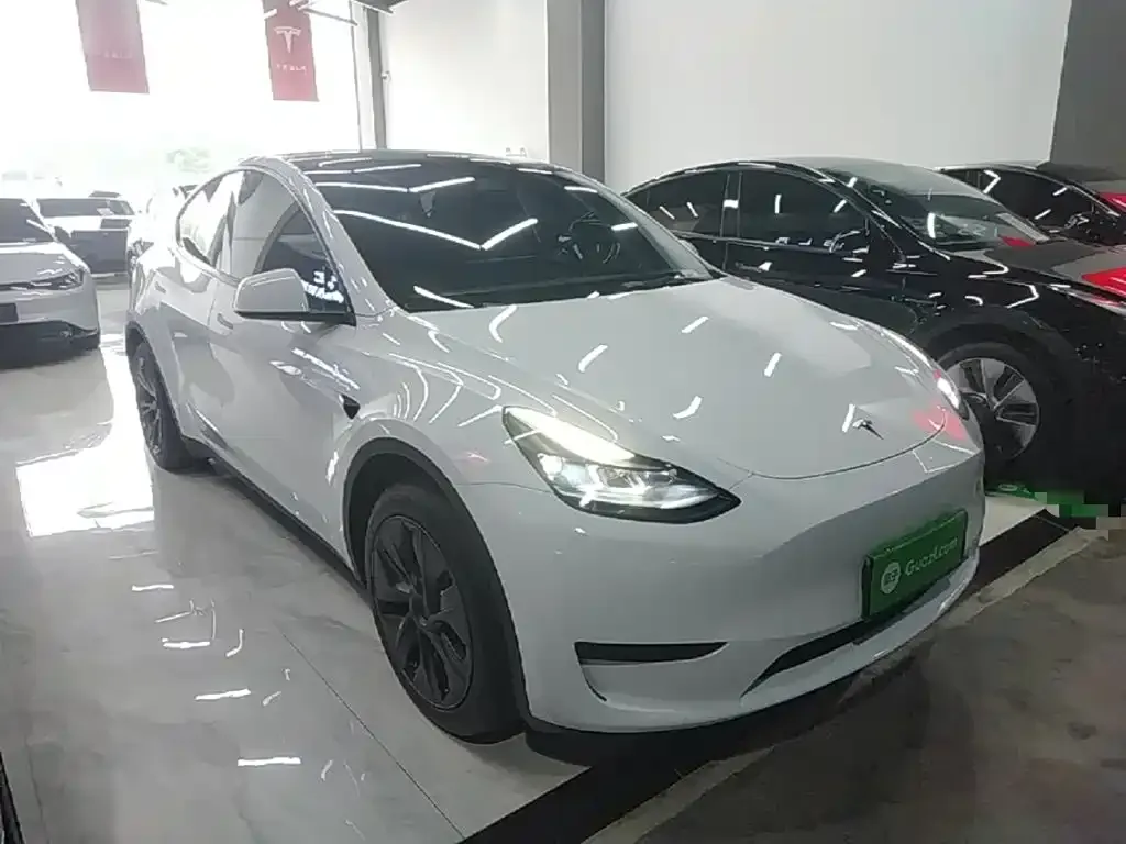 Tesla Model Y — фото 3