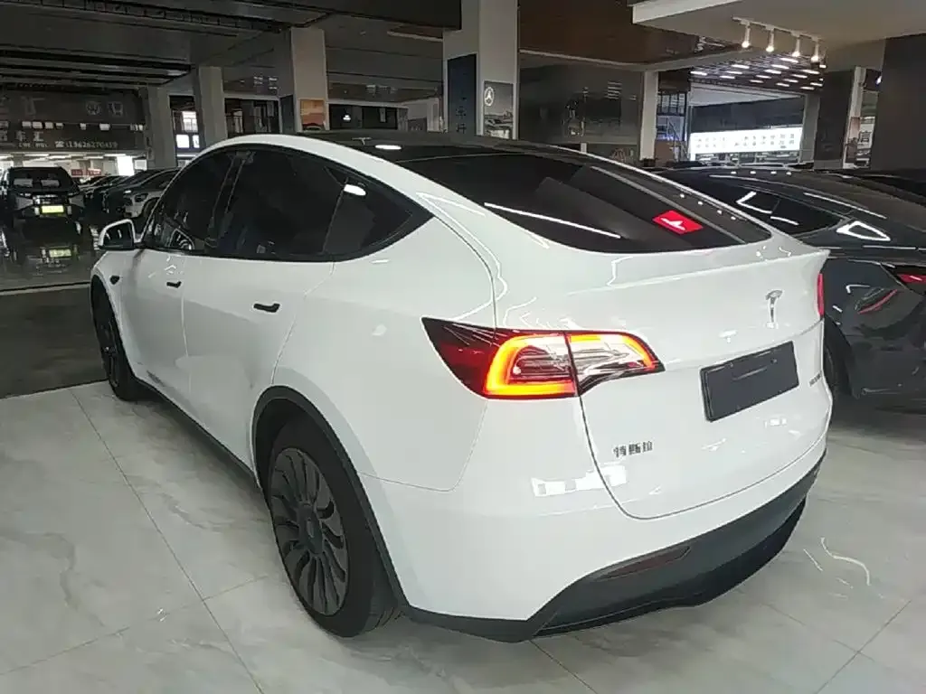 Tesla Model Y — фото 10