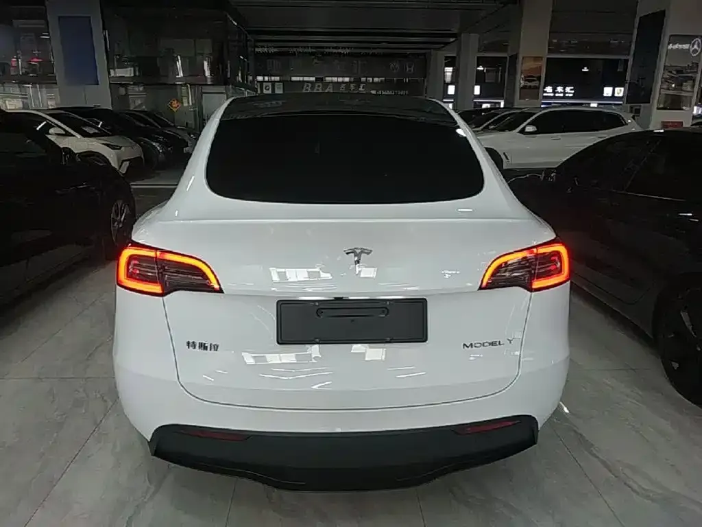 Tesla Model Y — фото 4