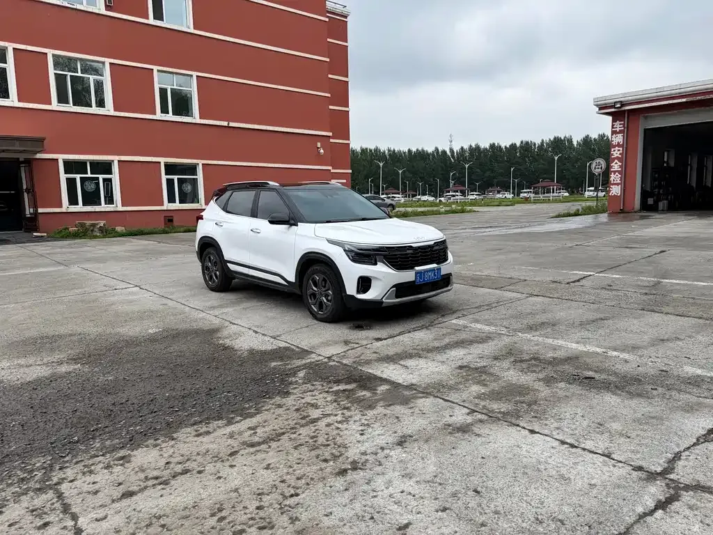 Kia Seltos 2023 из CN, фото 2