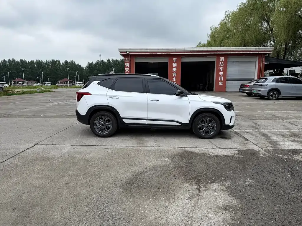 Kia Seltos 2023 из CN, фото 3