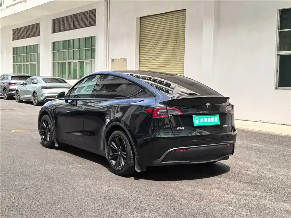 Tesla Model Y — фото 10