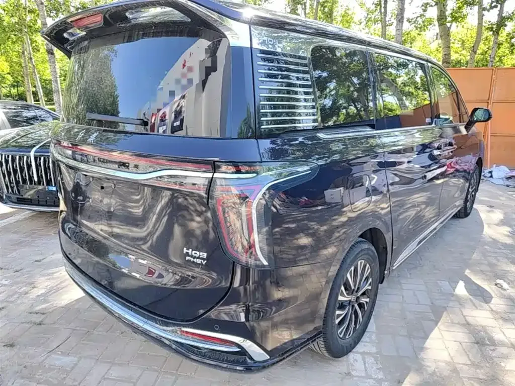 Hongqi HQ9 PHEV 2024 из CN, фото 4