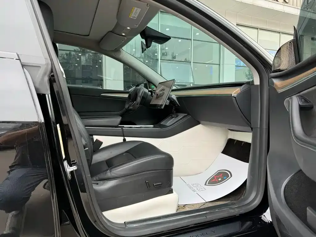 Tesla Model Y — фото 10