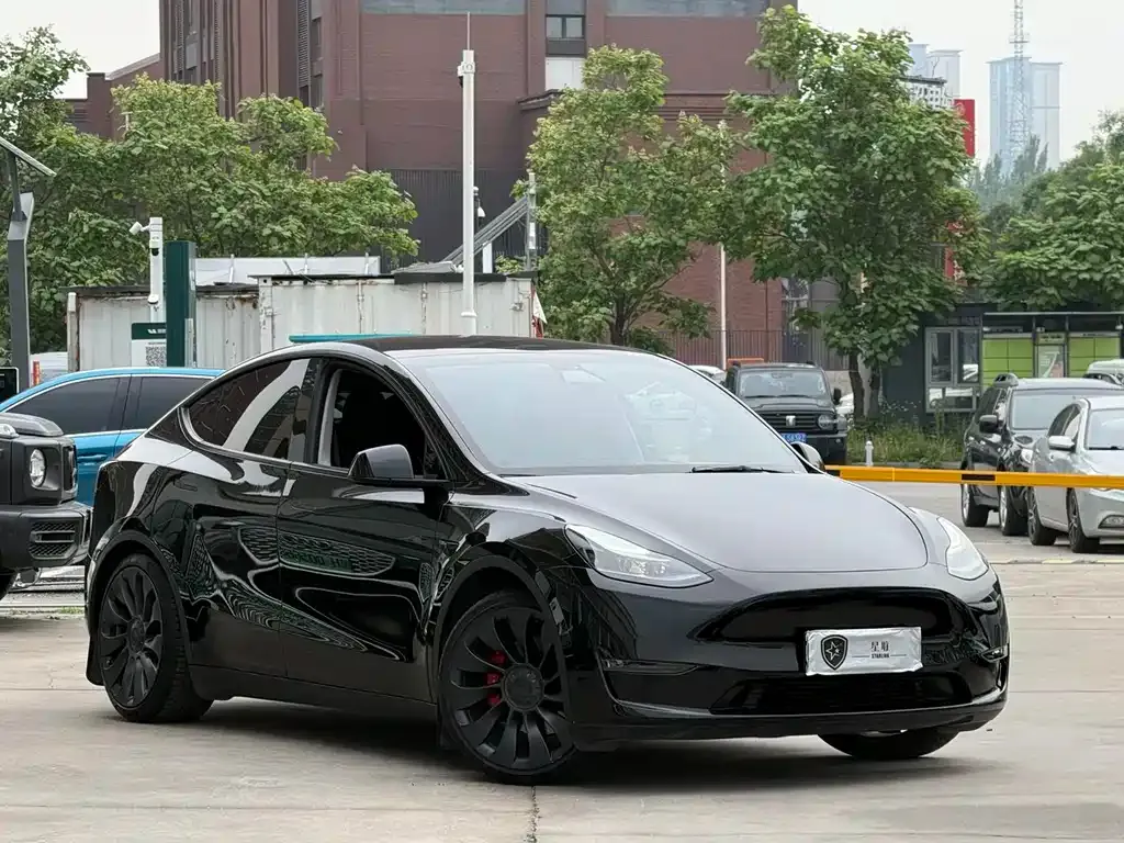 Tesla Model Y — фото 6